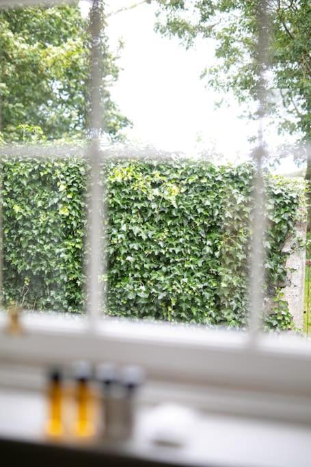 Auldhame House East Wing, Seacliff Apartment นอร์ทแบร์ริก ภายนอก รูปภาพ